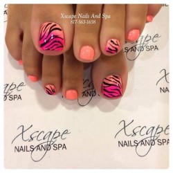 1a8cfcc2e2a4786564ee746eeaec1ccc