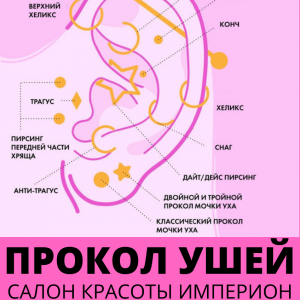 ВИДЫ ПРОКОЛОВ УШЕЙ